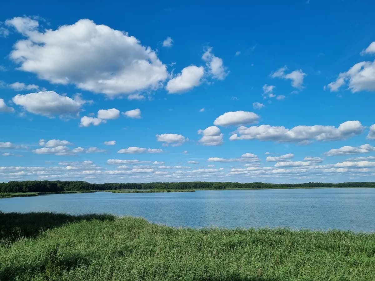 Spacer nad wodą - Dolina Baryczy w sąsiedztwie osiedla Stawna Park w Miliczu